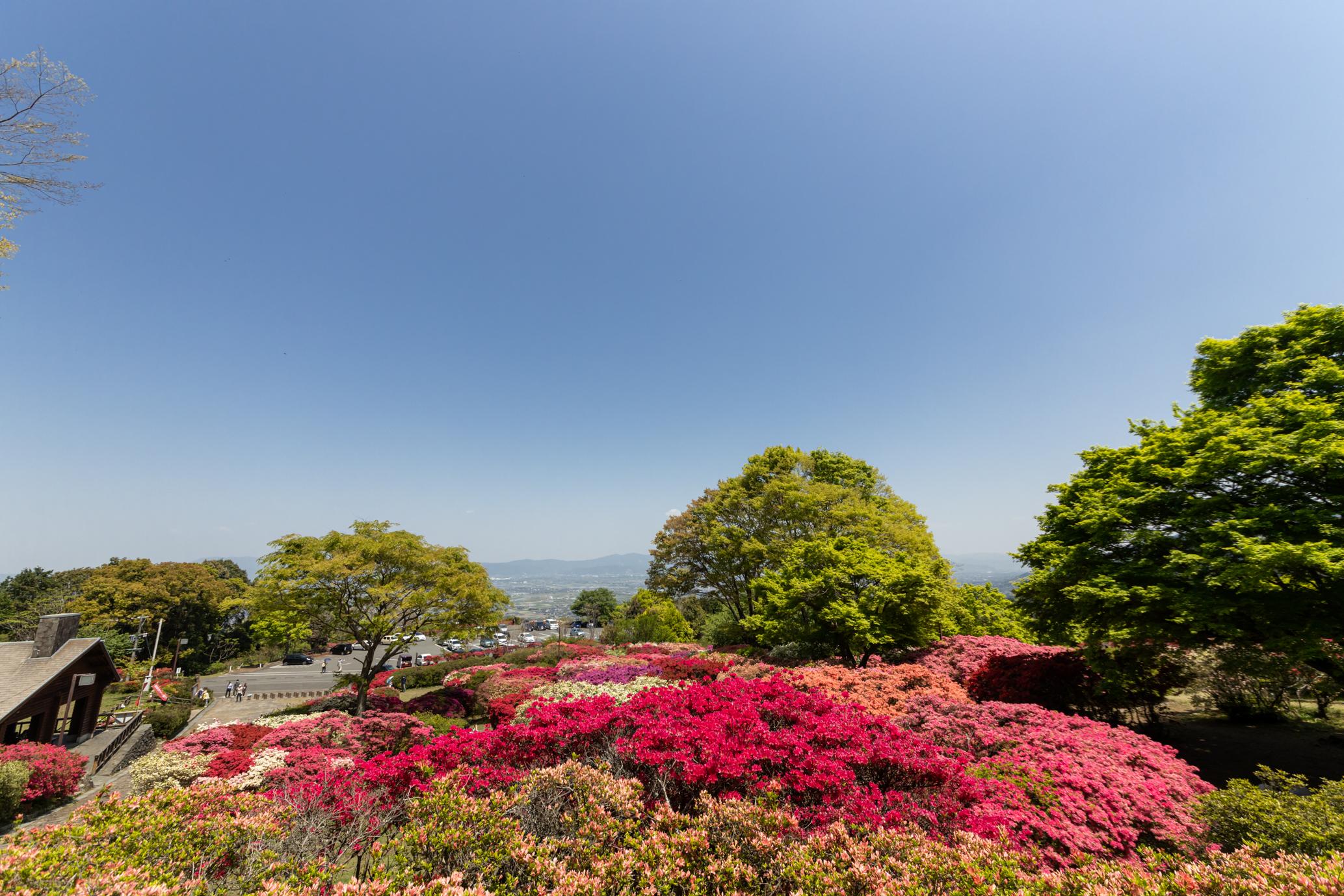 久留米つつじ公園